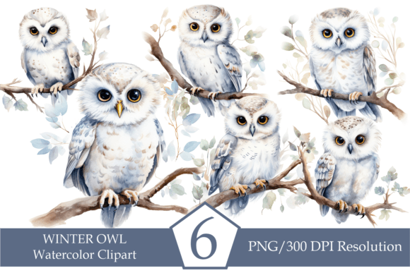Download Watercolor Winter Owl, Cute White Owl - Cute Collection